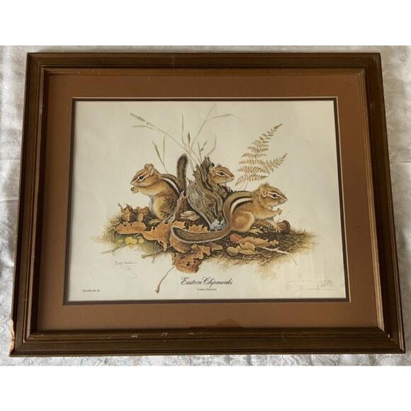 Jim Oliver Signed Print Eastern Chipmunks Framed Wildlife Art Plate 20 - Picture 1 of 15